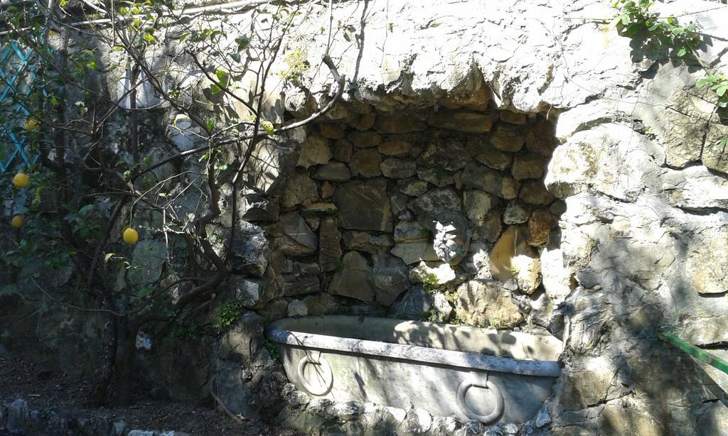 Casa Tra Il Verde E Il Blu Genua Rum bild